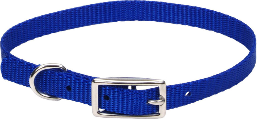 Coastal Single Ply Dog Collar, Blue, 3/8 x 12 in - Nylon Collars