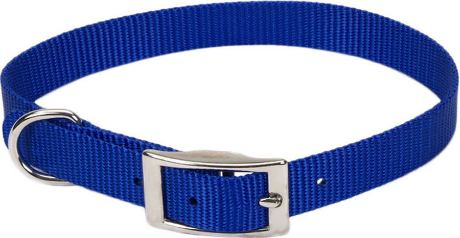 Coastal Single Ply Dog Collar, Blue, 5/8 x 14 in - Nylon Collars