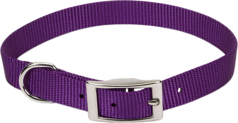 Coastal Single Ply Dog Collar, Purple, 5/8 x 14 in - Nylon Collars