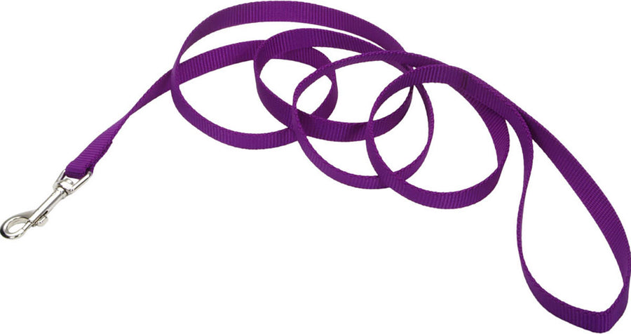 Coastal Single Ply Dog Leash, Purple, 5/8 in x 6 ft - Nylon Leads