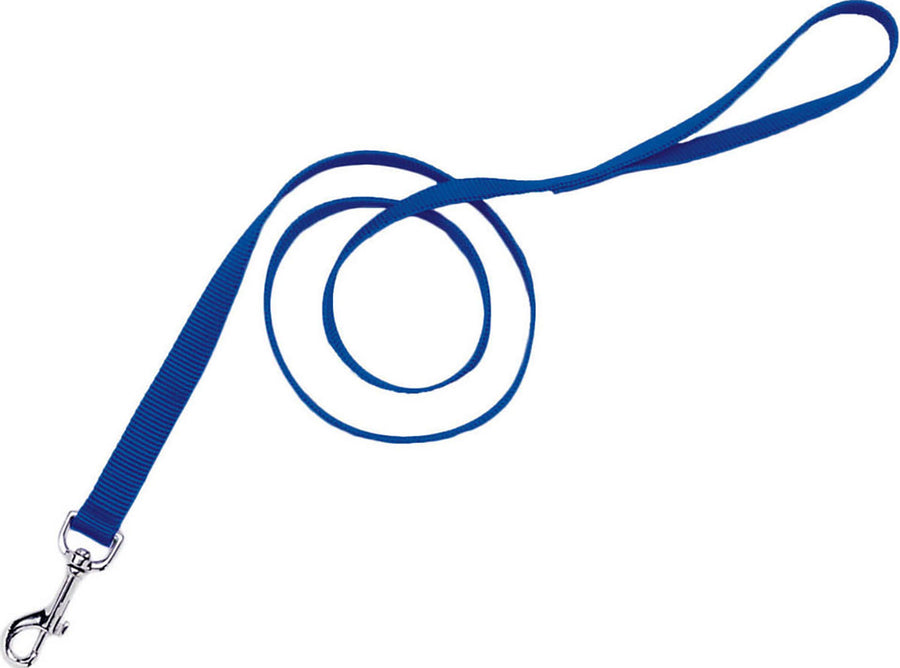 Coastal Single Ply Dog Leash, Blue, 3/4 in x 6 ft - Nylon Collars