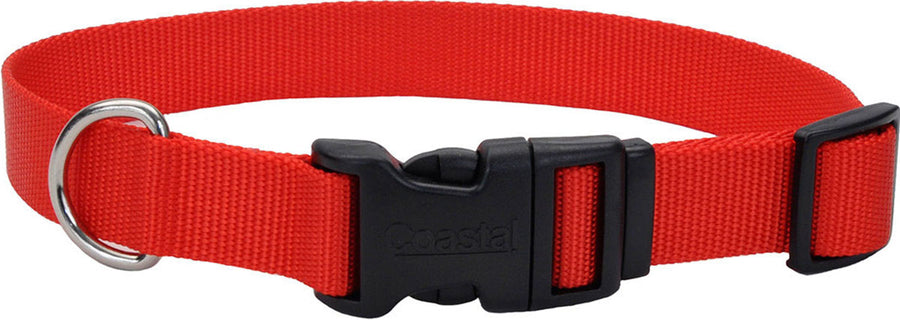 Coastal Adjustable Dog Collar w/ Plastic Buckle, Red, 3/8 x 8-12 in - Nylon Collars