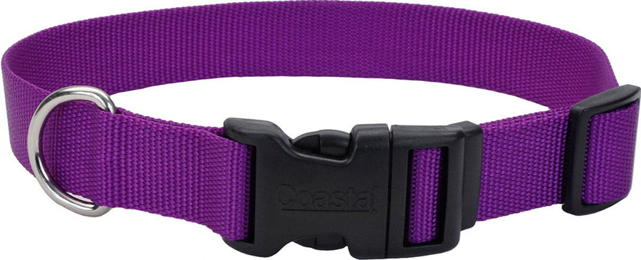 Coastal Adjustable Dog Collar w/ Plastic Buckle, Purple, 3/4 x 14-20 in - Nylon Collars