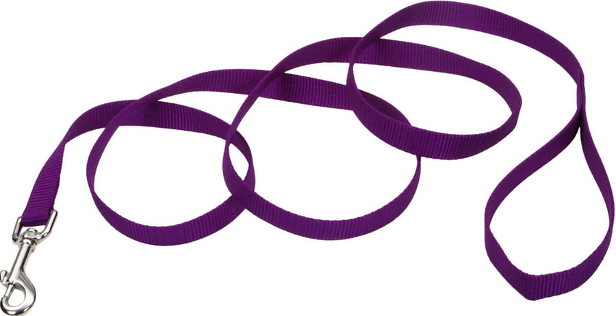 Coastal Single Ply Dog Leash, Purple, 1 in x 6 ft - Nylon Leads