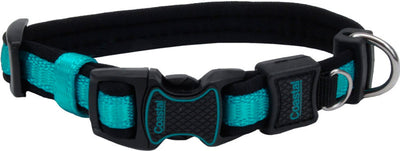 Inspire Adjustable Dog Collar, Aqua, 5/8 x 10-14 in - Nylon Collars