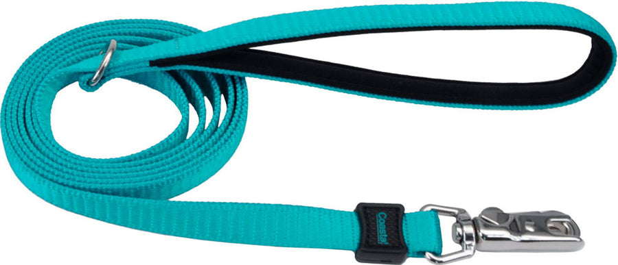 Inspire Dog Leash, Aqua, 5/8 in x 6 ft - Nylon Leads