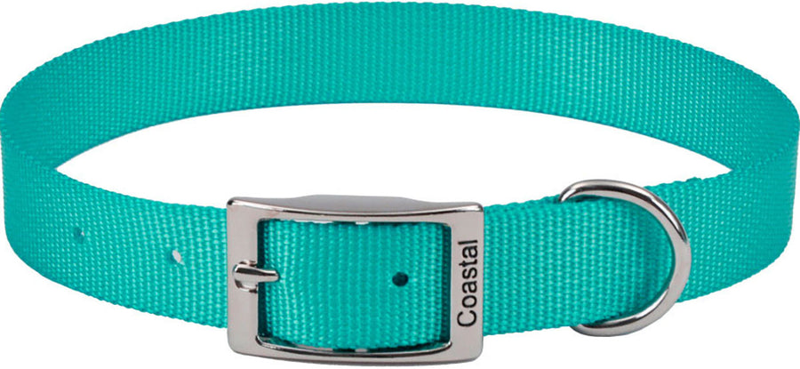 Coastal Single Ply Dog Collar, Teal Blue, 3/8 x 12 in - Nylon Collars