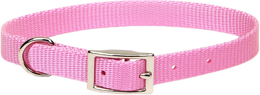 Coastal Single Ply Dog Collar, Bright Pink, 5/8 x 14 in - Nylon Collars