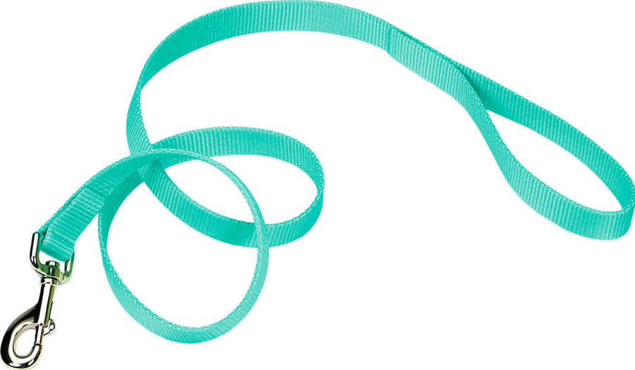 Coastal Single Ply Dog Leash, Teal Blue, 3/4 in x 6 ft - Nylon Collars