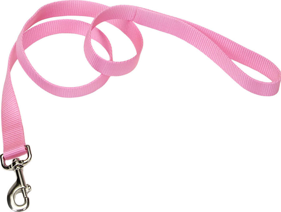 Coastal Single Ply Dog Leash, Bright Pink, 3/4 in x 6 ft - Nylon Collars