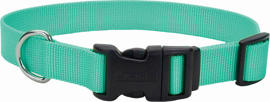 Coastal Adjustable Dog Collar w/ Plastic Buckle, Teal Blue, 3/8 x 8-12 in - Nylon Collars