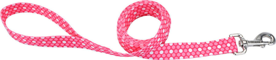 Styles Dog Leash, Polka Dot Pink, 5/8 in x 6 ft - Nylon Leads