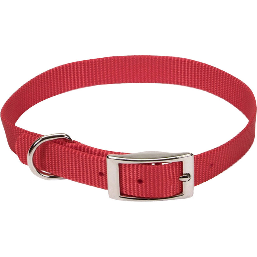 Coastal Single Ply Dog Collar, Red, 5/8 x 16 in - Nylon Collars
