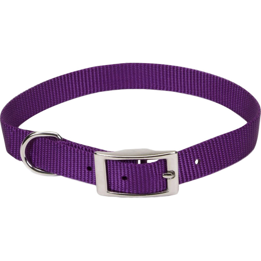 Coastal Single Ply Dog Collar, Purple, 3/4 x 18 in - Nylon Collars