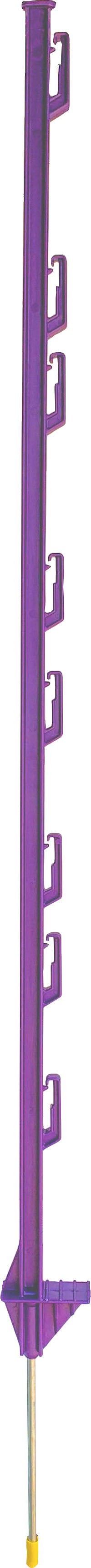 Dare No Trespassing Step in Post, Purple