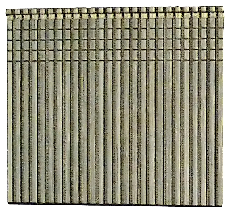 8359770.jpg