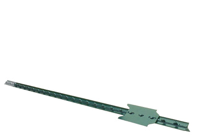 8404964.jpg