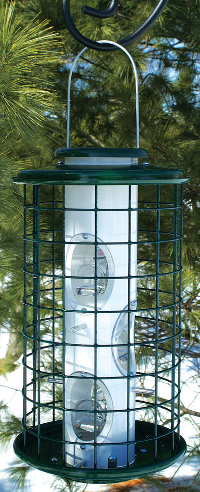 Audubon Avian Series Caged Mixed Seed Feeder, Green, 4.5 lb Cap - Haven Feeders-Seed