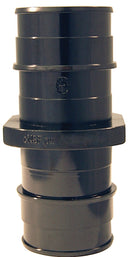 8975187.jpg