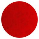 9037284.jpg