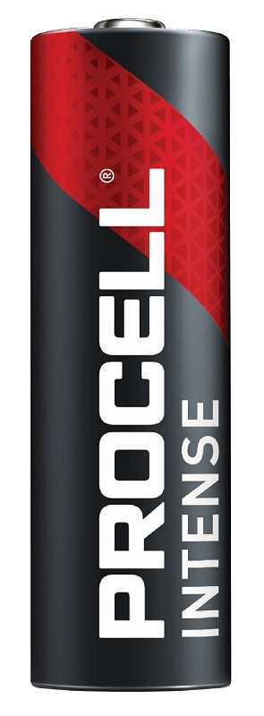 Procell Intense Series PX2400 Premium Battery