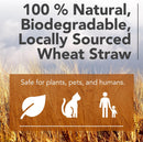 Premium Garden Straw  - Straw Mulch That is Designed for Use in Compost Beds, Gardens, Pet Bedding, Lawns and Much More. by Home and Country USA