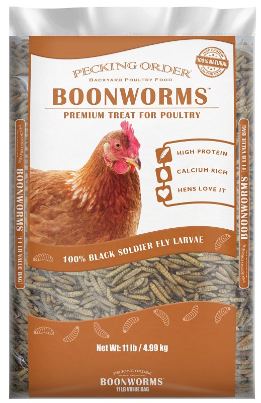 Pecking Order 009153-2 Boonworms