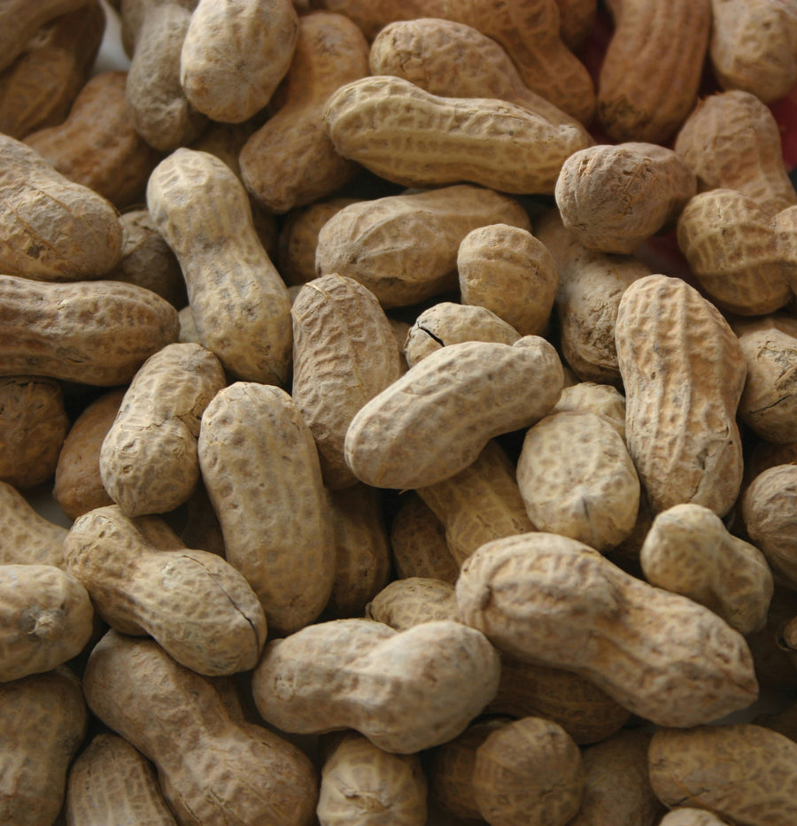 Alpine Dairy In Shell Peanuts Fancy, 50 lb - Peanuts/Peanut Hearts