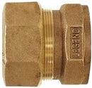 9574716.jpg
