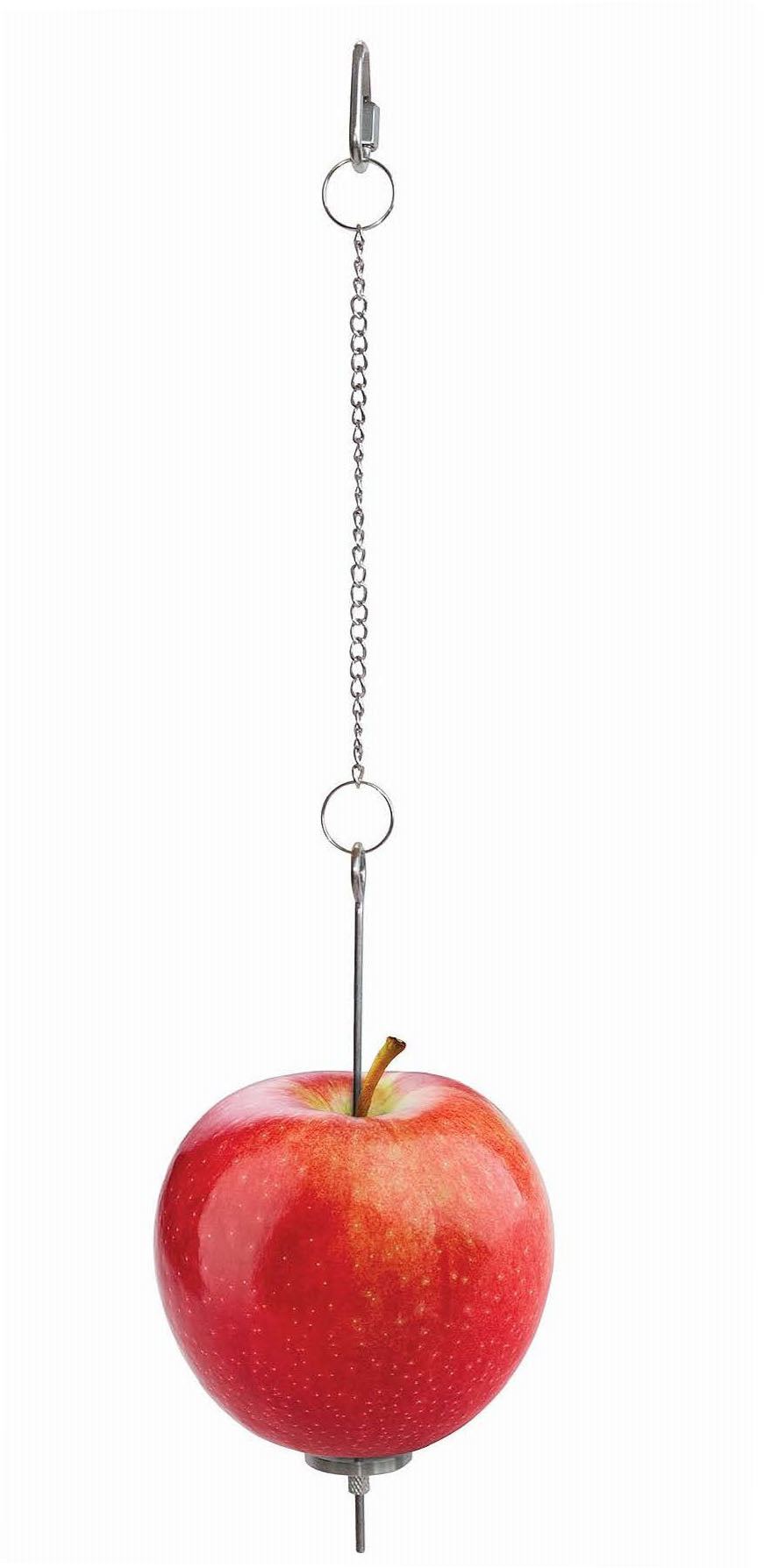 Little Giant Chicken Treat Skewer, Silver - Farm & Equine