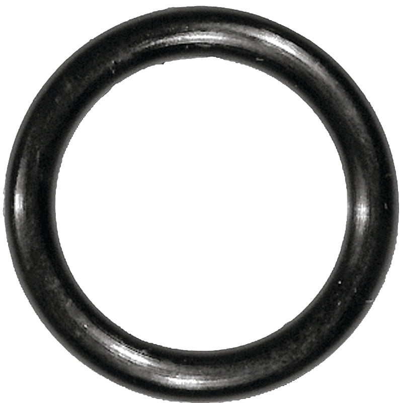 9601931.jpg