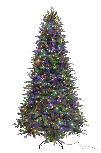 9609892.jpg