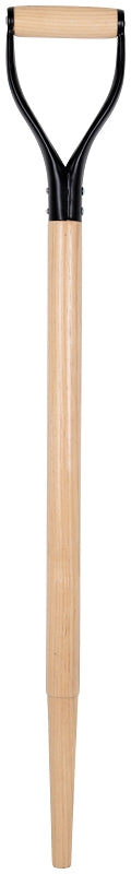 9617408.jpg
