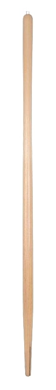 9647694.jpg