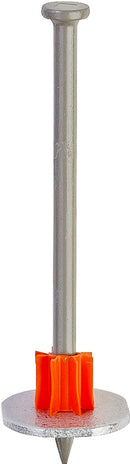 9681321.jpg