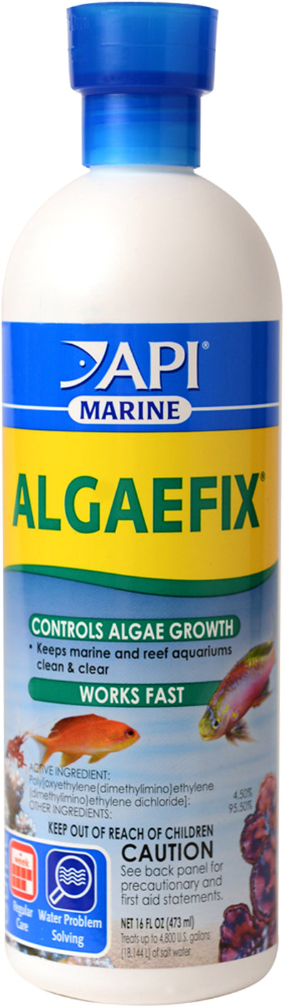 API Algaefix Marine, 16 oz - Algae Destroyers