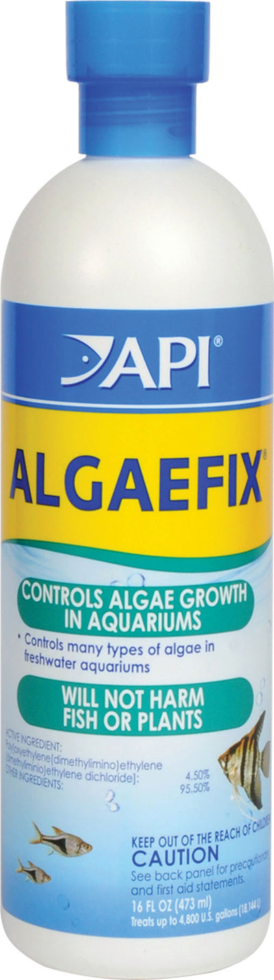 API Algaefix, 16 oz - Algae Destroyers