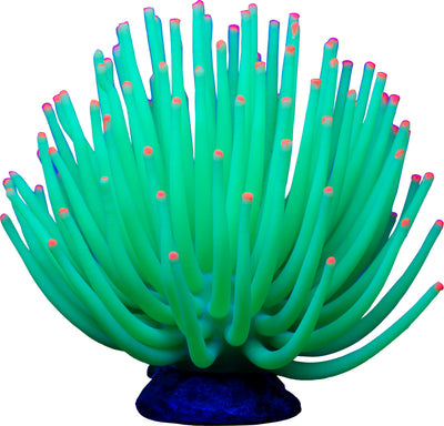 Glofish Anemone, Green, LG - Resin
