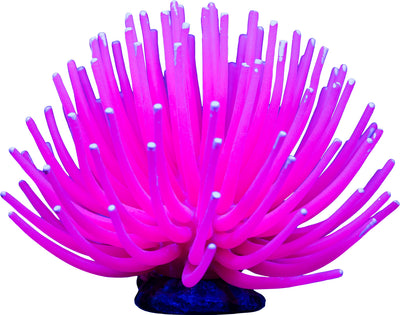 Glofish Anemone, Pink, LG - Resin