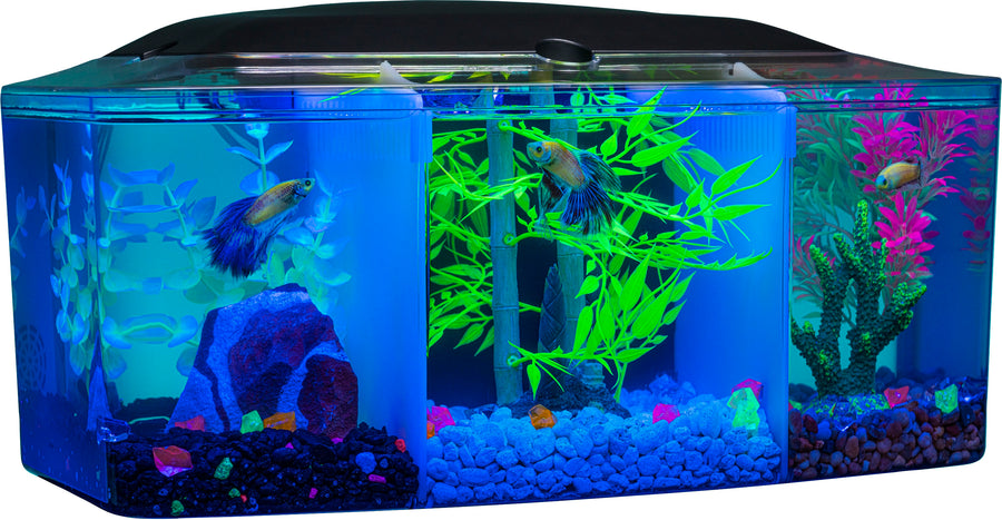 Glofish Betta Trilogy Aquarium, 3 gal - Desktop