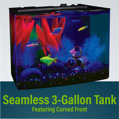 Glofish Aquarium Kit Blue LED, 3 gal - Desktop