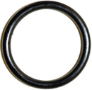9750803.jpg
