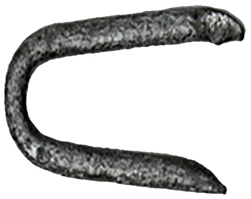 9750928.jpg