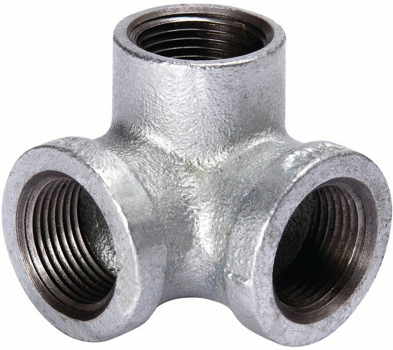 9860172.jpg