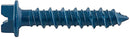 9875204.jpg