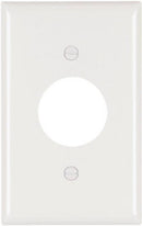 9877499.jpg