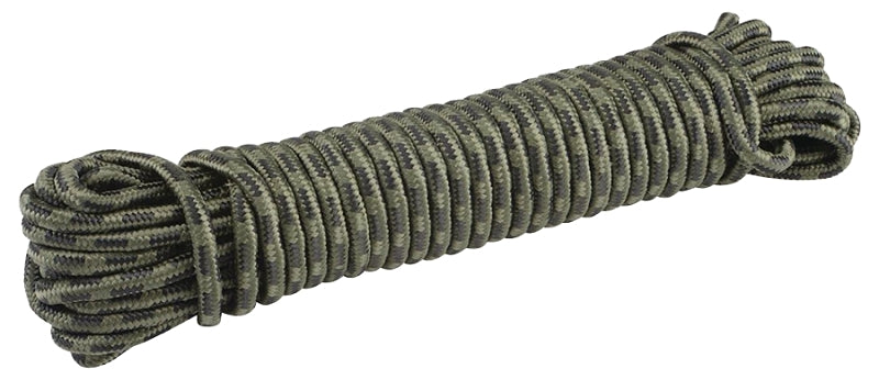 9880352.jpg