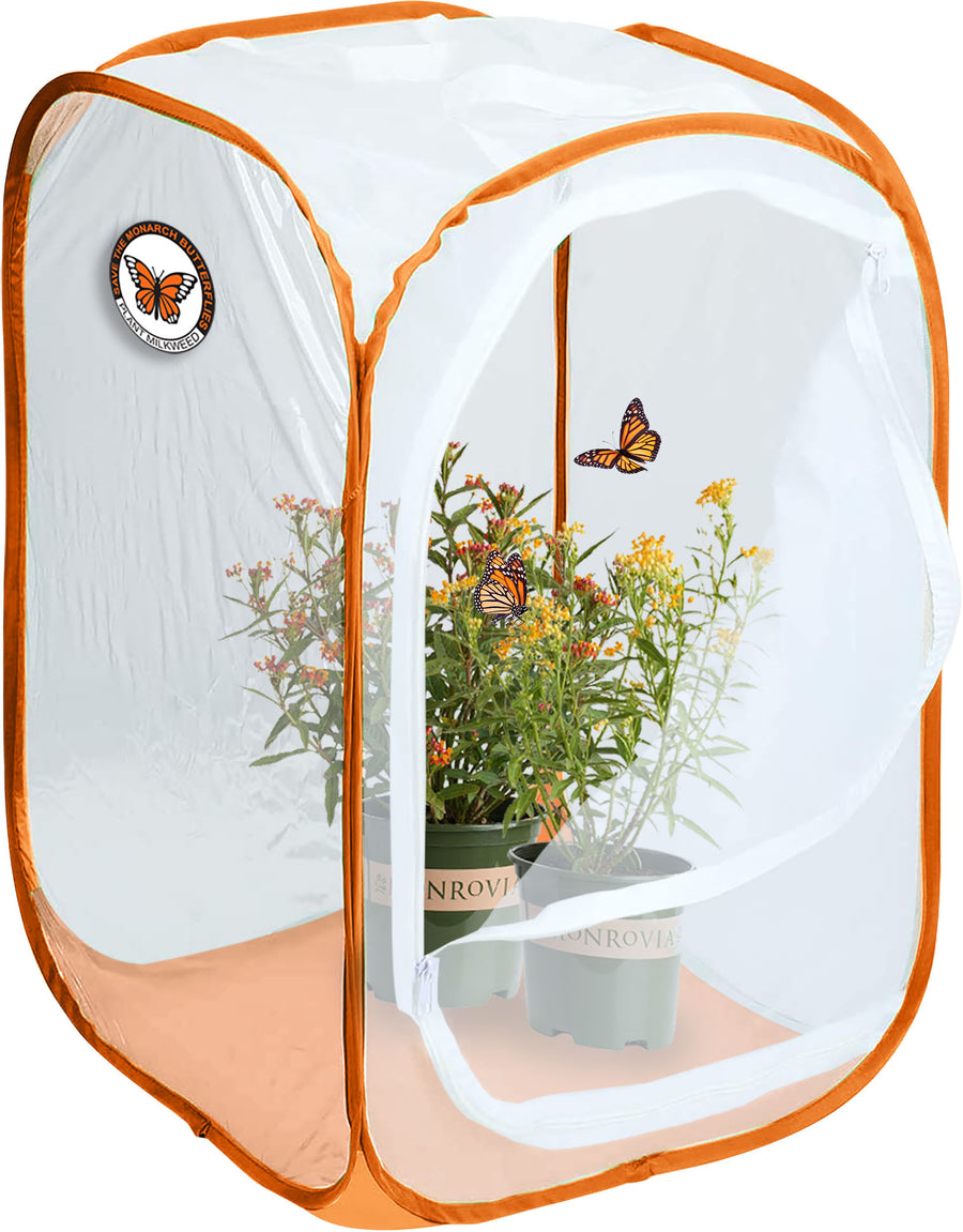 Monarch Butterfly Pop-Up Mesh Incubator, Orange, 10x10x9.5 in - Houses-Butterfly