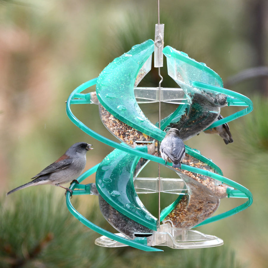 Cascade Dna Songbird Seed Feeder, Green, 2 lb Cap - Tube Type Feeders Mixed Seed
