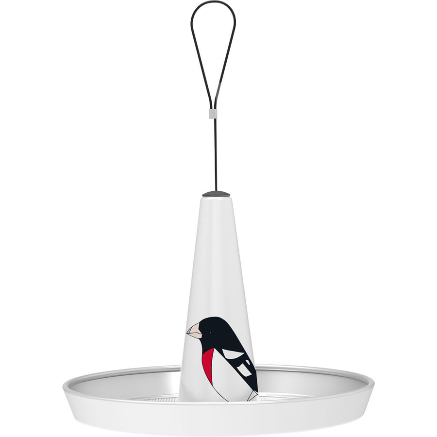 Audubon Limited Edition Eggpicnic Round Metal Platform Fdr, White - Platform/Fly Thru Feeders